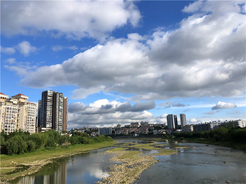 飛、露、秋與風(fēng)云(圖4)